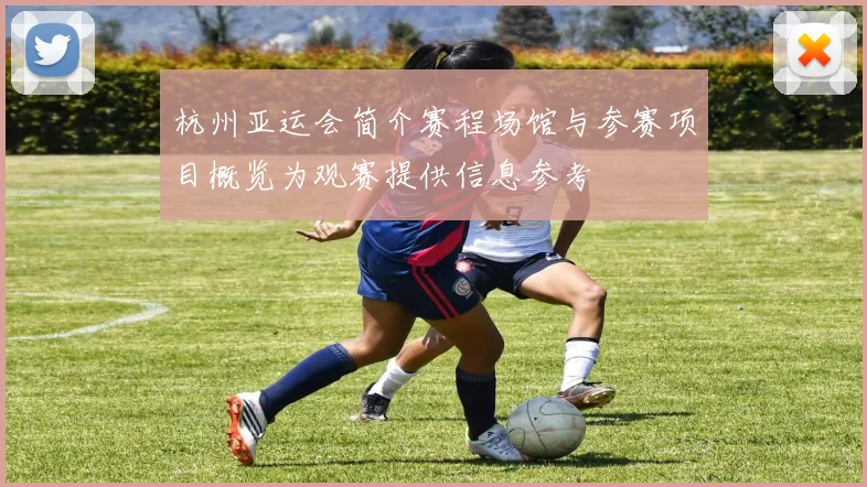 杭州亚运会简介赛程场馆与参赛项目概览为观赛提供信息参考