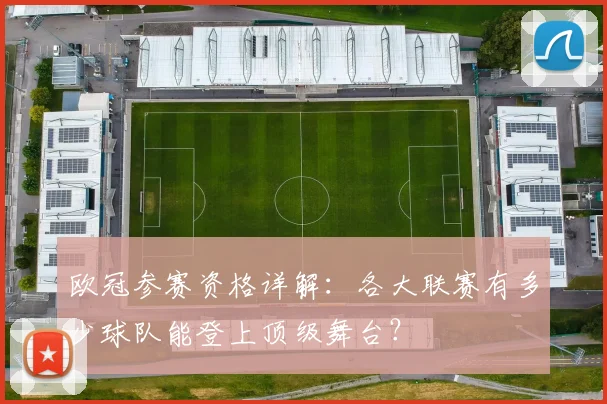 欧冠参赛资格详解：各大联赛有多少球队能登上顶级舞台？