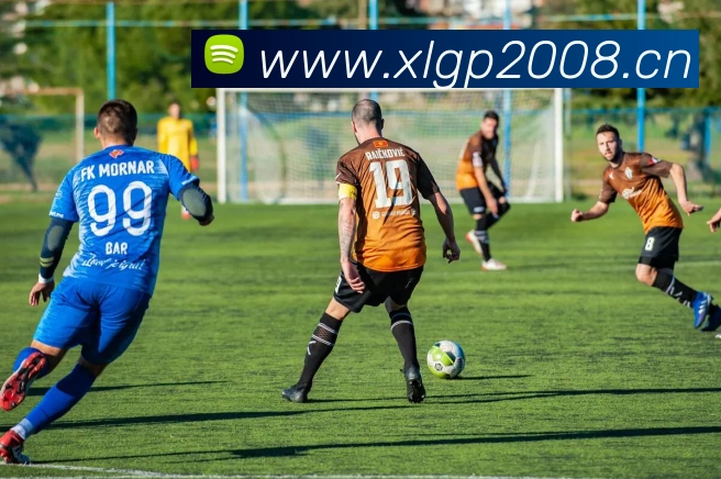 星空体育在线观看平台平台生态图