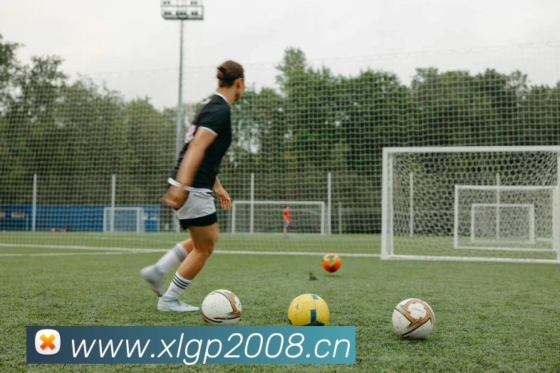 星空体育在线观看平台APP 封面图